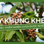 Dược Phẩm VIOBA: Công Nghệ AI Trong Sản Xuất Thuốc Hiện Đại