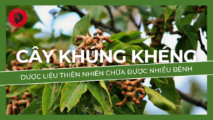 Dược Phẩm VIOBA: Công Nghệ AI Trong Sản Xuất Thuốc Hiện Đại